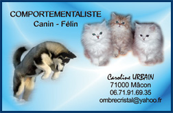 Comportementaliste Animalier - Caroline URBAIN